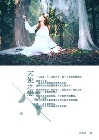 天使之戀小说封面